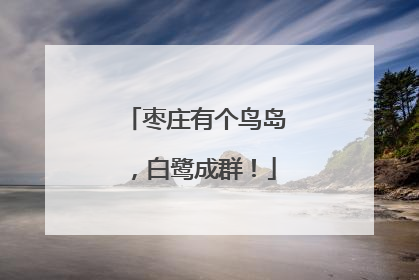 枣庄有个鸟岛，白鹭成群！